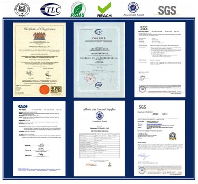 DONGGUAN TW-SCIE CO., LTD. 회사 소개